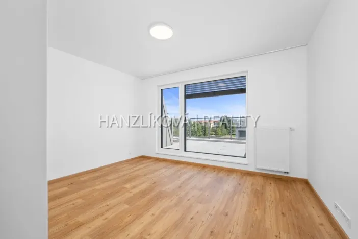 Pronájem bytu 3+kk, České Budějovice - České Budějovice 2, Branišovská, 75 m2