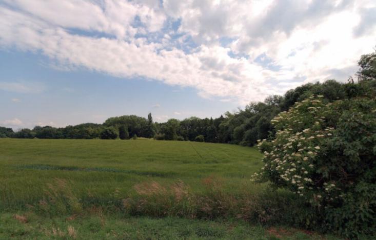 Prodej zahrady, Květnice, Lékořicová, 4623 m2