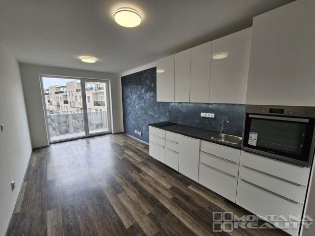 Pronájem bytu 1+kk, Olomouc, Šantova, 33 m2