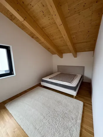 Prodej rodinného domu, Loučná pod Klínovcem, 180 m2