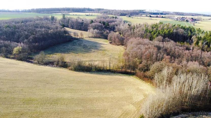 Prodej pozemku pro bydlení, Morašice, 1193 m2