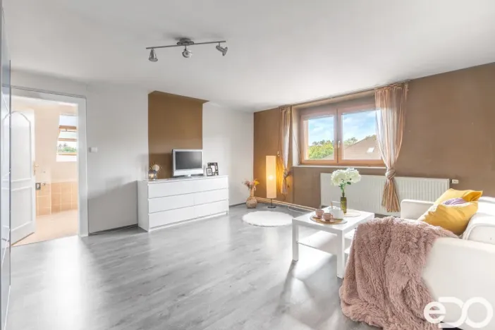 Prodej vícegeneračního domu, Mladá Boleslav, Šafaříkova, 380 m2