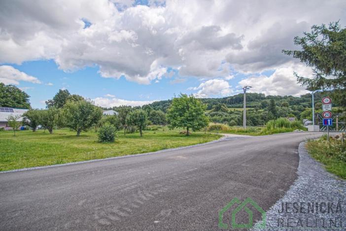 Prodej ubytování, Česká Ves, Polská, 306 m2