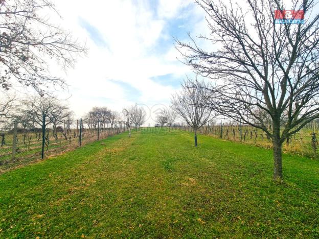 Prodej pole, Starý Poddvorov, 4096 m2