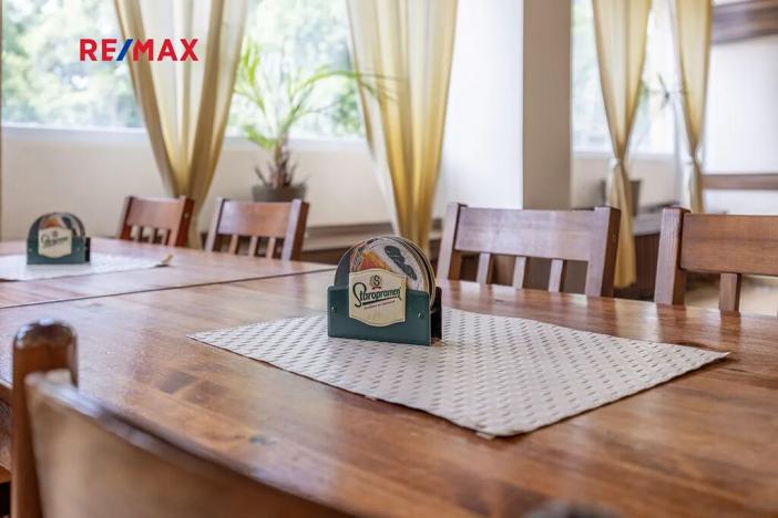 Prodej obchodního prostoru, Čelákovice, Rumunská, 794 m2