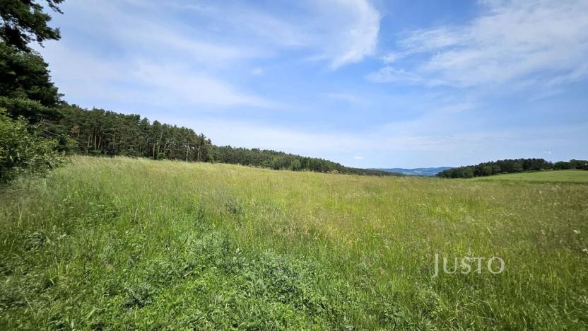 Prodej pozemku pro bydlení, Dobev - Velké Nepodřice, 8980 m2