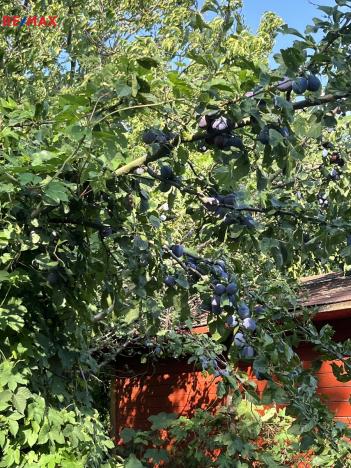 Prodej rodinného domu, Babice, 184 m2