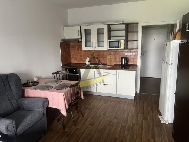 Pronájem bytu 1+kk, Veselí nad Lužnicí - Veselí nad Lužnicí I, Blatské sídliště, 20 m2