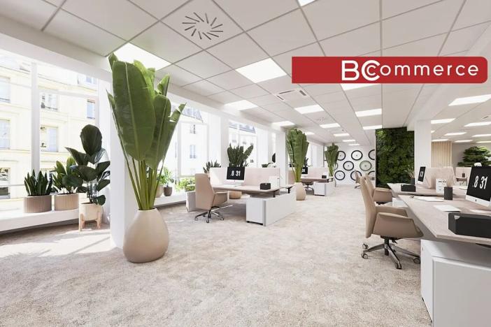 Pronájem kanceláře, Brno, Masarykova, 505 m2