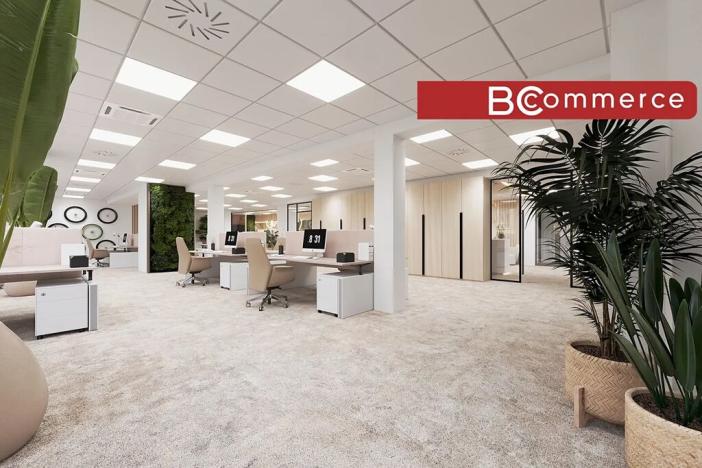 Pronájem kanceláře, Brno, Masarykova, 505 m2