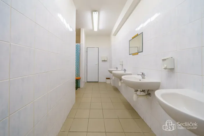 Prodej výrobních prostor, Krásno, Kladenská, 4900 m2