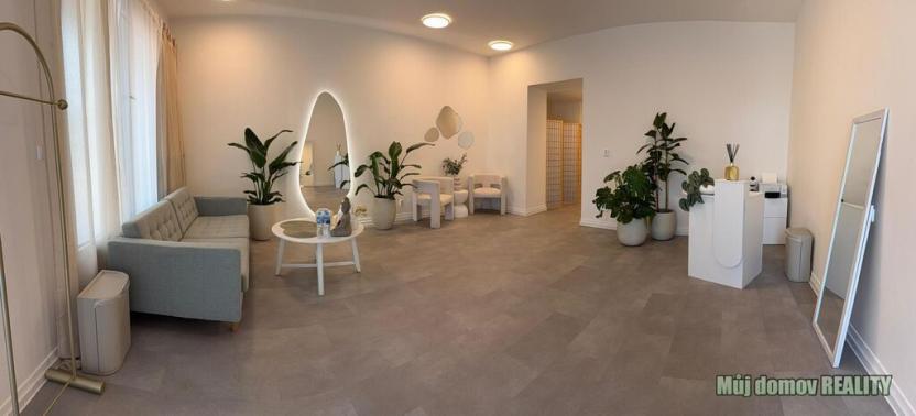 Pronájem obchodního prostoru, Praha - Vysočany, Freyova, 57 m2
