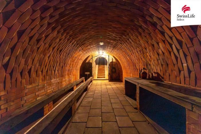 Prodej rodinného domu, Šakvice, Vinohradní, 194 m2