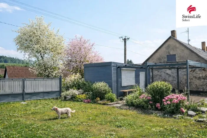 Prodej pozemku pro bydlení, Horní Cerekev - Těšenov, 3877 m2