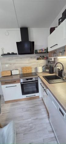 Prodej bytu 3+1, Česká Ves, Haškova, 66 m2