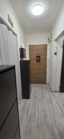 Prodej bytu 3+1, Česká Ves, Haškova, 66 m2