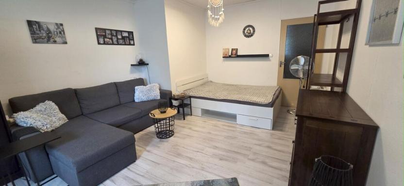 Prodej bytu 3+1, Česká Ves, Haškova, 66 m2