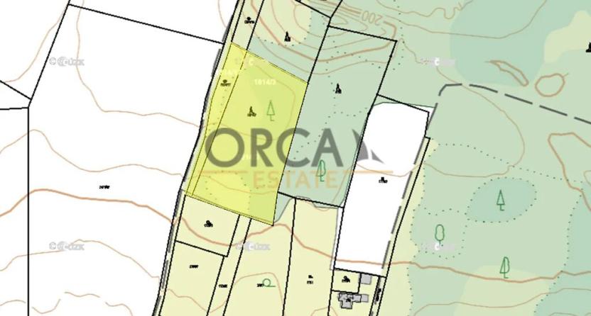 Prodej louky, Bechlín, 6309 m2