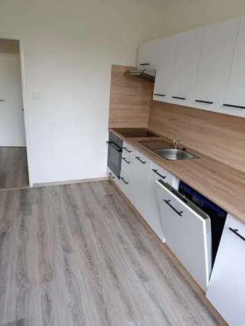 Pronájem bytu 3+1, Vratimov, U Společenského domu, 74 m2