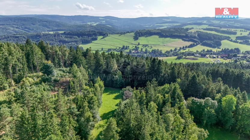 Prodej lesa, Petrovice u Sušice - Maršovice, 15707 m2