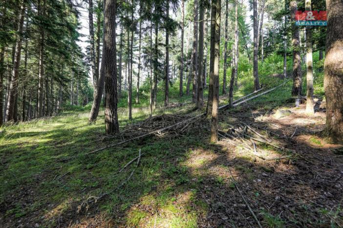 Prodej lesa, Petrovice u Sušice - Maršovice, 15707 m2