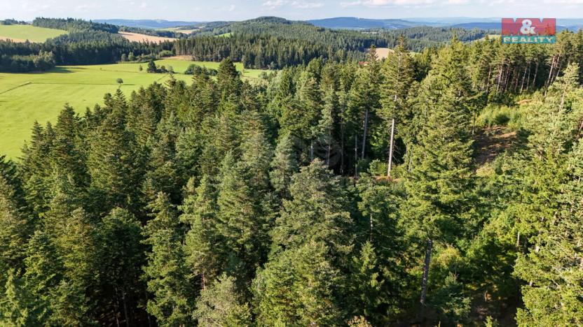 Prodej lesa, Petrovice u Sušice - Maršovice, 15707 m2