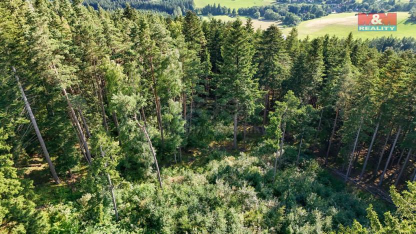 Prodej lesa, Petrovice u Sušice - Maršovice, 15707 m2