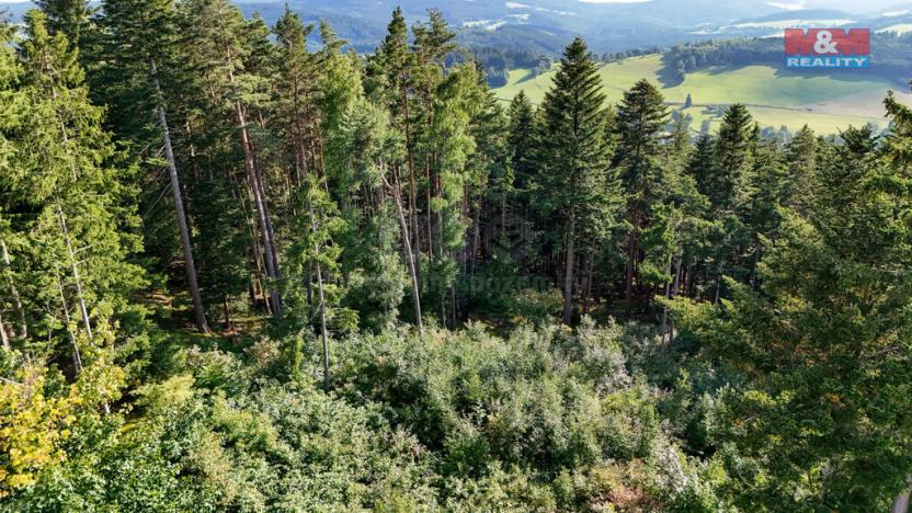 Prodej lesa, Petrovice u Sušice - Maršovice, 15707 m2