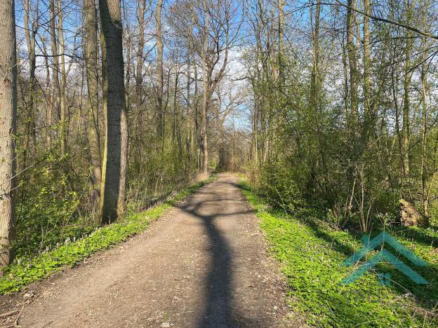 Prodej chaty, Budyně nad Ohří - Písty, 69 m2