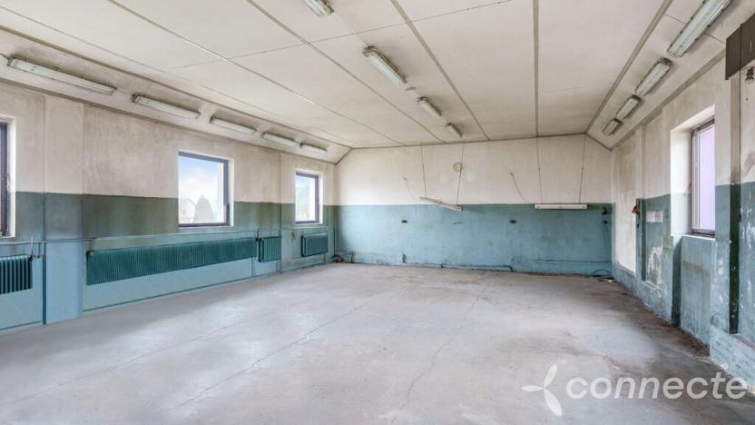 Prodej komerční, Hřibiny-Ledská - Hřibiny, 196 m2