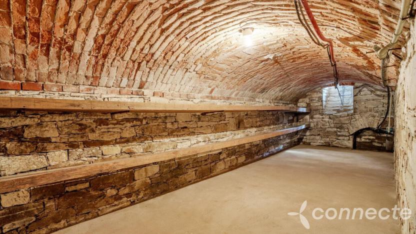 Prodej komerční, Hřibiny-Ledská - Hřibiny, 196 m2