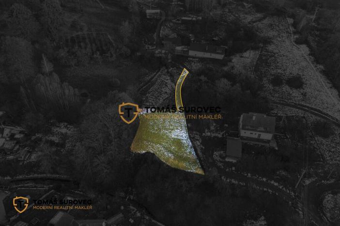 Prodej pozemku, Všemina, 780 m2