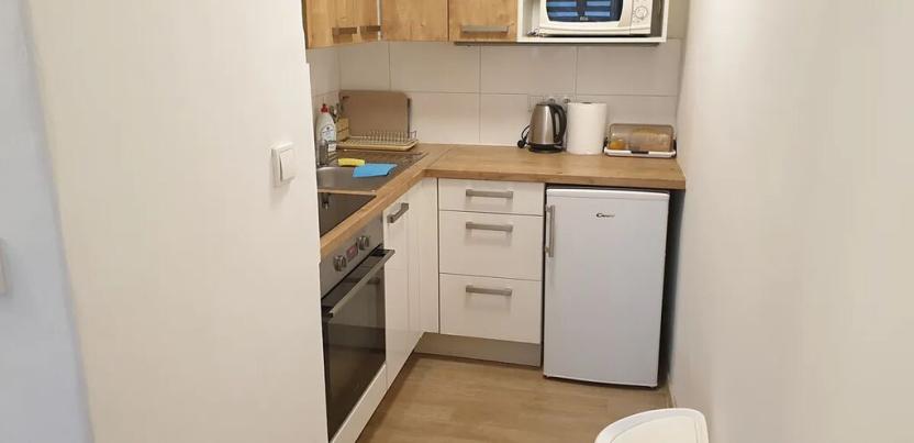 Pronájem bytu 1+kk, Teplice, Petra Jilemnického, 30 m2