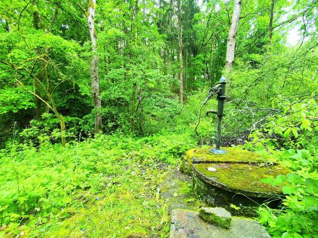 Prodej chaty, Erpužice - Malovice, 65 m2