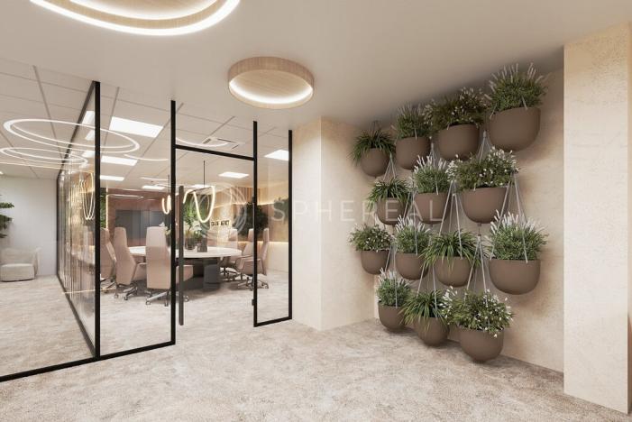 Pronájem kanceláře, Brno - Brno-město, Masarykova, 505 m2