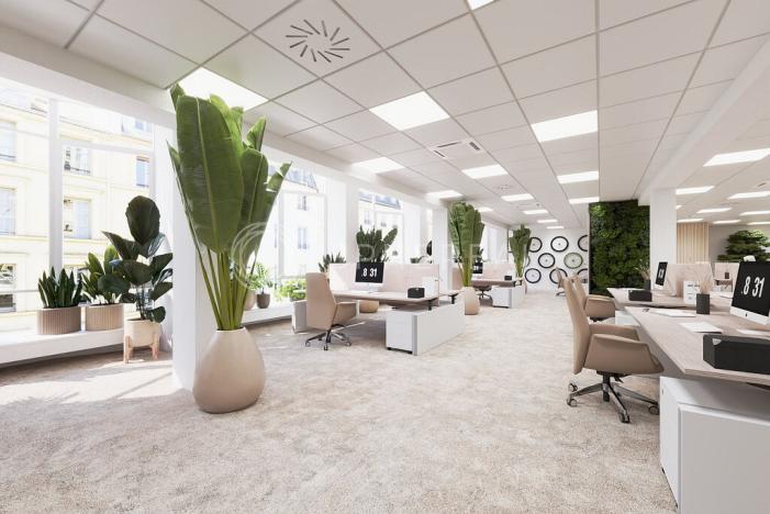 Pronájem kanceláře, Brno - Brno-město, Masarykova, 505 m2