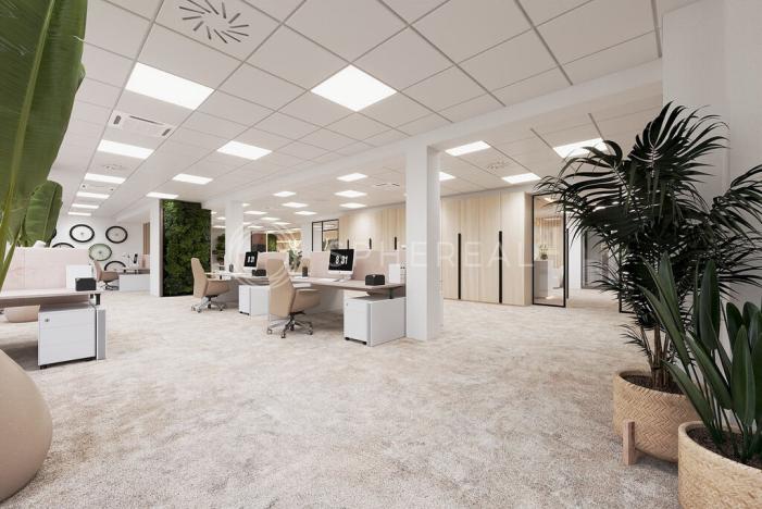 Pronájem kanceláře, Brno - Brno-město, Masarykova, 505 m2