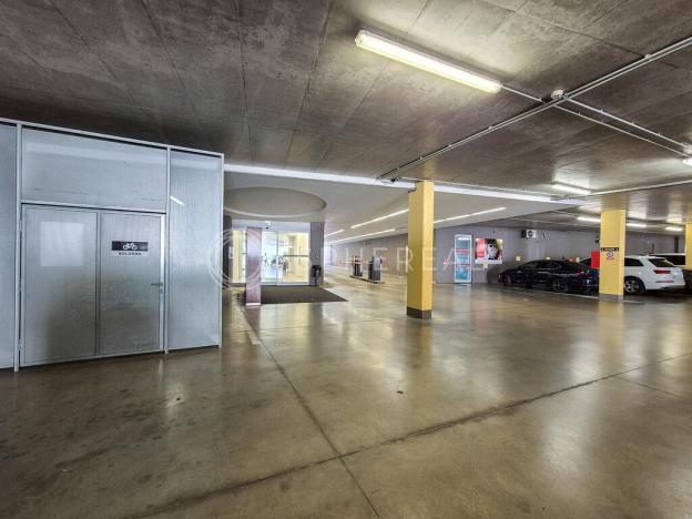 Pronájem kanceláře, Brno - Žabovřesky, Veveří, 209 m2