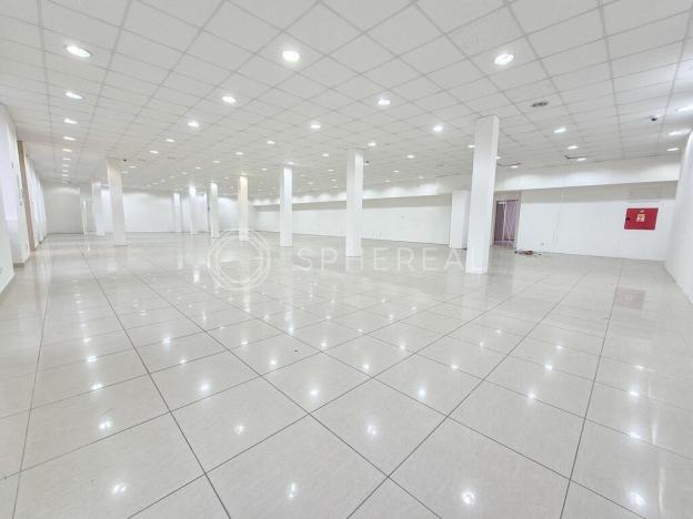 Pronájem obchodního prostoru, Brno - Staré Brno, Václavská, 710 m2