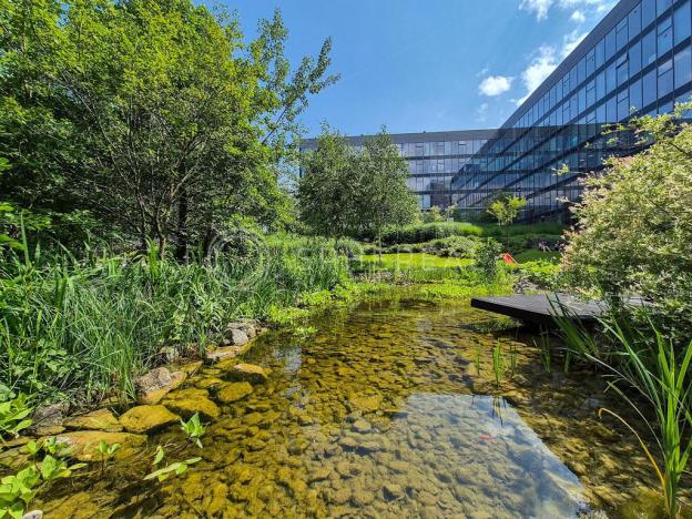 Pronájem kanceláře, Brno - Starý Lískovec, Palachovo náměstí, 446 m2