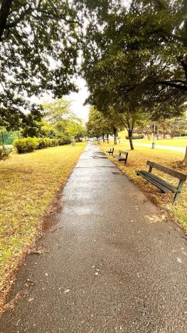 Prodej bytu 3+kk, Praha - Chodov, Tererova, 63 m2