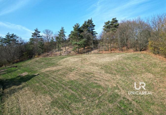 Prodej pozemku, Letovice, 2184 m2