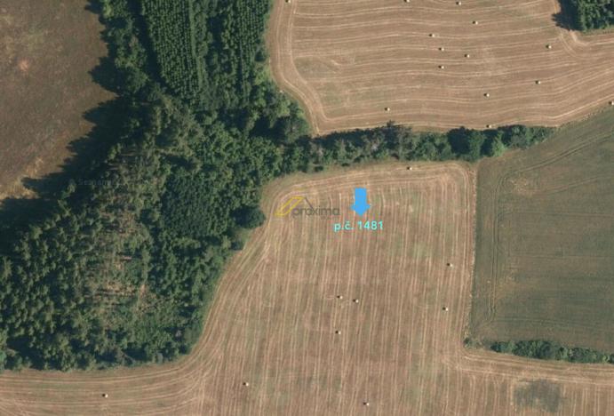 Prodej pole, Hoslovice, 7553 m2