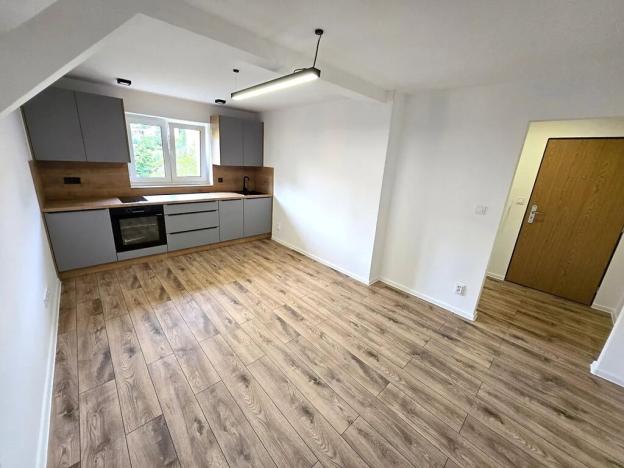 Pronájem bytu 2+kk, Ústí nad Labem, Mlýnská, 40 m2