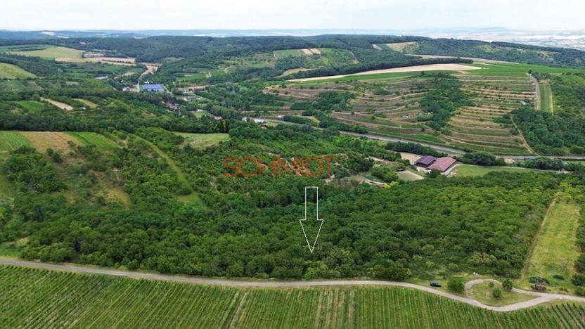 Prodej pozemku, Němčičky, 835 m2