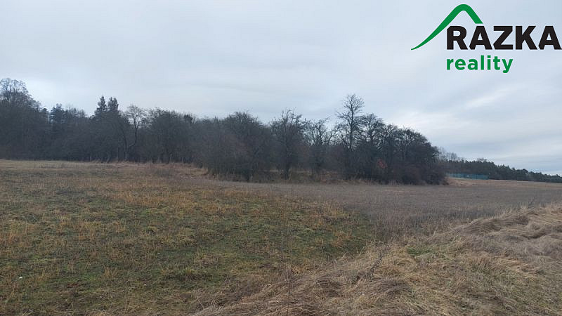 Prodej pozemku, Konstantinovy Lázně, 1207 m2