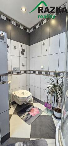 Prodej bytu 3+kk, Velká Hleďsebe, Pohraniční stráže, 88 m2