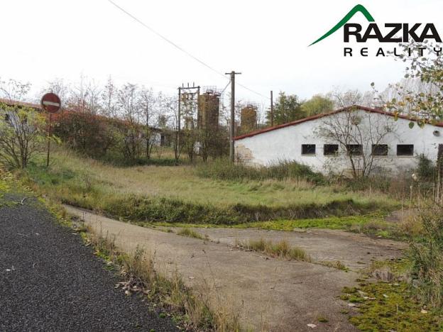 Prodej komerční, Přimda, 5633 m2