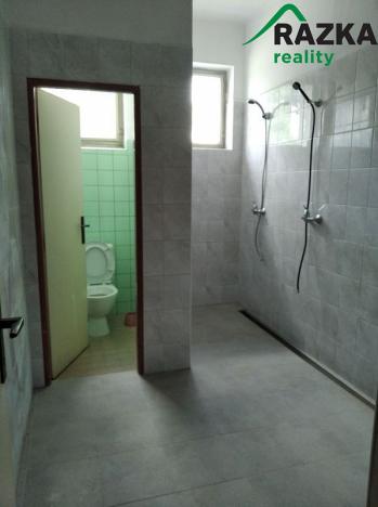 Prodej komerční, Horažďovice, 790 m2