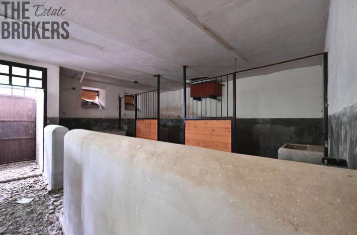 Prodej rodinného domu, Zásmuky - Vršice, 5000 m2